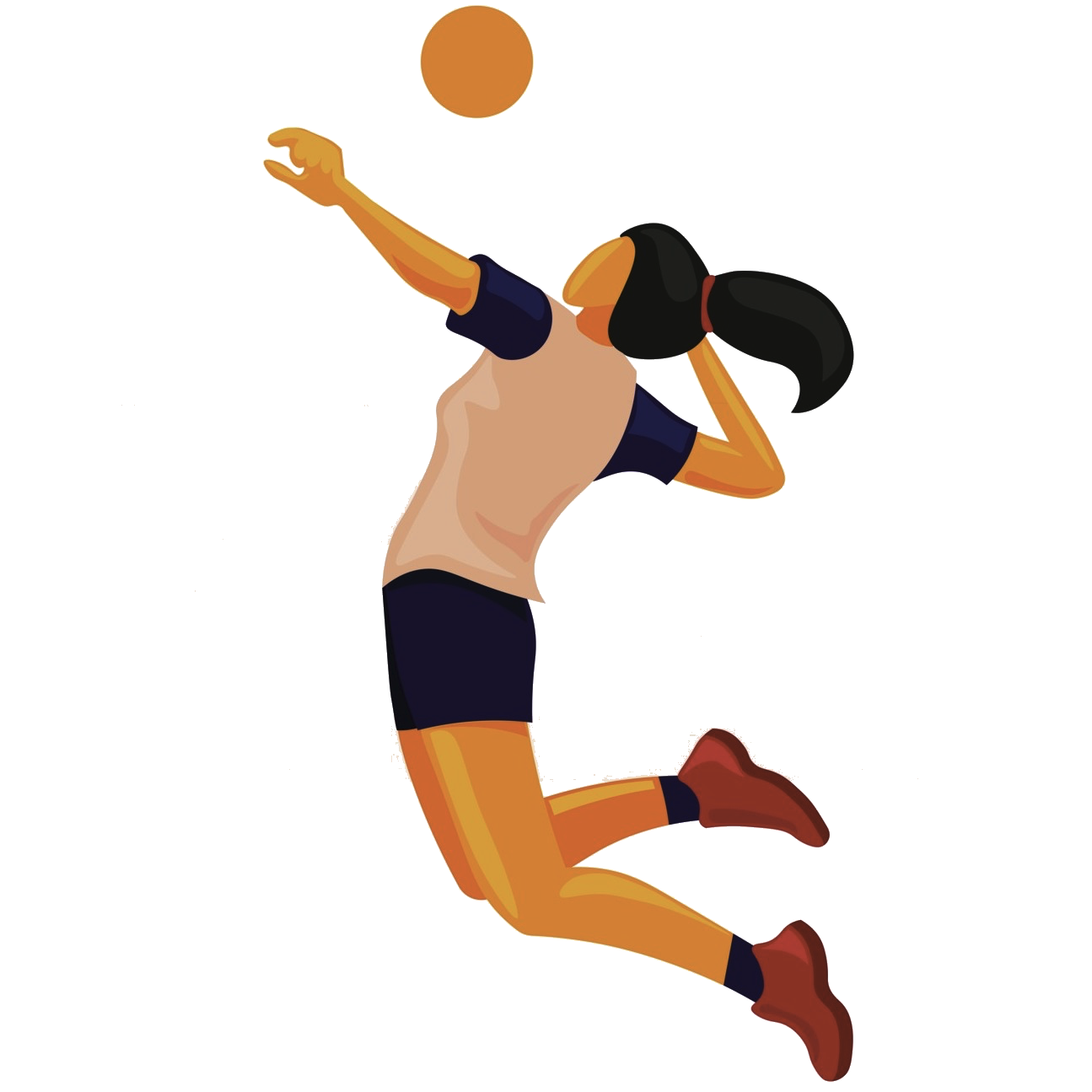 API-Sports - Documentation Volleyball